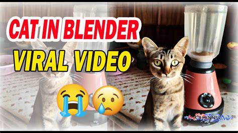 Xat in blender - The footage, unsuitable for sensitive audiences, features the unidentified culprit placing a cat in a blender and attempting to harm the helpless animal. The blender’s visible Asian writings establish that the video originated somewhere in Asia. Trigger Warning: This article discusses graphic content involving animal cruelty.